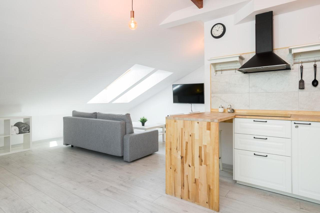 Apartment Alexander Krakow Dış mekan fotoğraf